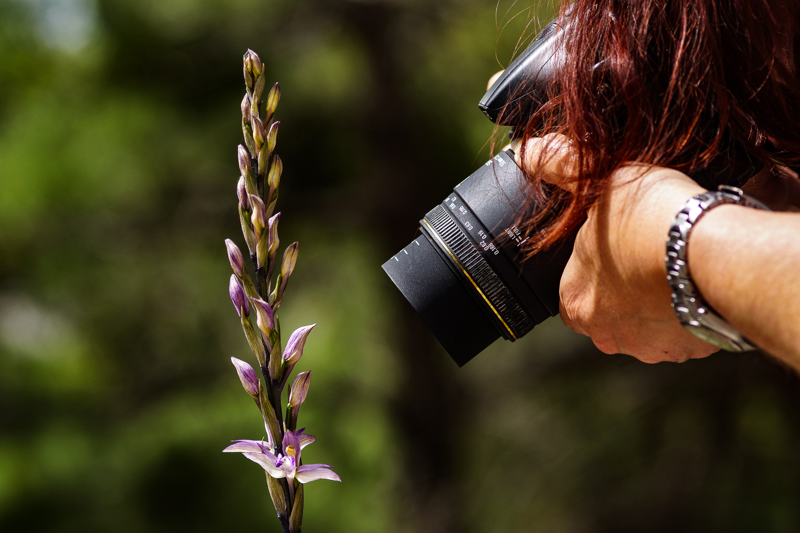 Flora und Fauna an den schönsten Plätzen der Welt